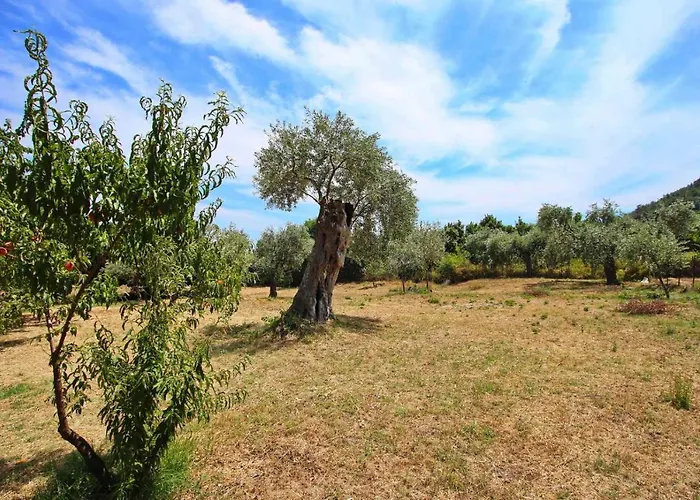 公寓 Panos House 基尼拉